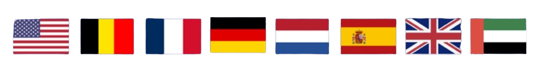 Injectify Flags